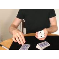 Steven Bridges - Fusion