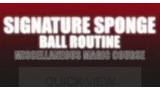 Craig Petty - Signature Sponge Ball Routine
