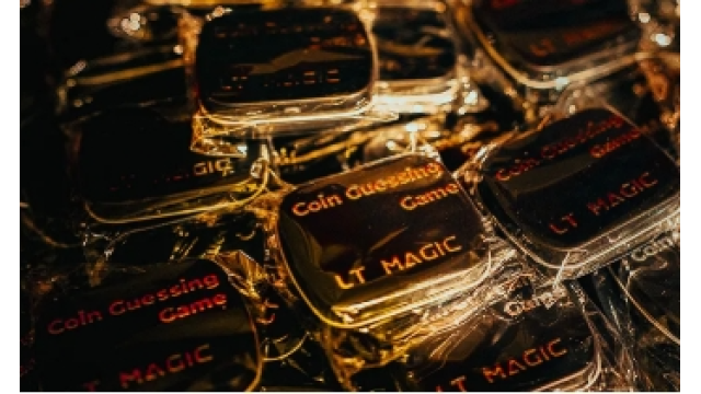 LT Magic – Coin Guessing Game - Magic DVDs
