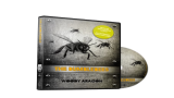 Woody Aragon - The Bumblebees