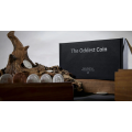 David Penn & TCC Magic - The Oddest Coin David Penn & TCC Magic - The Oddest Coin