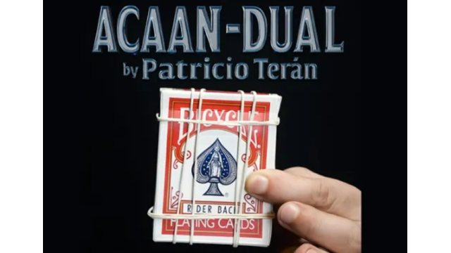 ACAAN dual by Patricio Teran - 2025