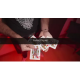 Perfect Squat by Yoann Fontyn Perfect Squat by Yoann Fontyn