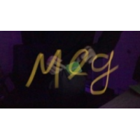 Rolem - Meg Switch (card to pocket version)