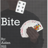 Bite by Aiden Hill Bite by Aiden Hill