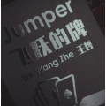 Jumper by Bacon Magic and Wang Zhe Jumper by Bacon Magic and Wang Zhe