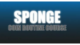 Craig Petty - Sponge