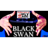 Black Swan by Magicat