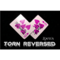 Zoen's - Torn Reversed Zoen's - Torn Reversed