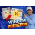 window prediction by Pascal Romano