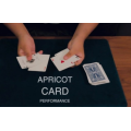 Apricot Card by Keito K Apricot Card by Keito K