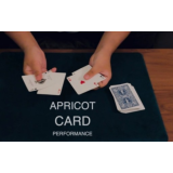Apricot Card by Keito K Apricot Card by Keito K
