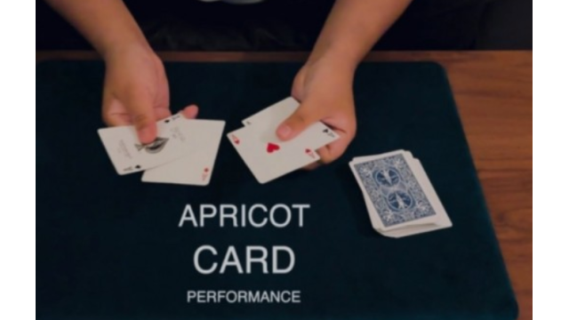 Apricot Card by Keito K - 2026 Apricot Card by Keito K - 2026