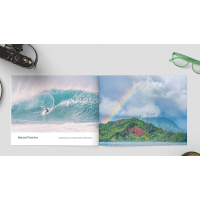 Zandman’s Hawaii