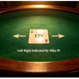 Left-Right Indicated By Miku W