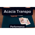 Acacia Transpo by Keito K Acacia Transpo by Keito K