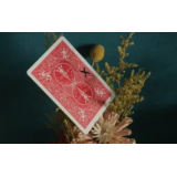 WZ – XX Writing Moving