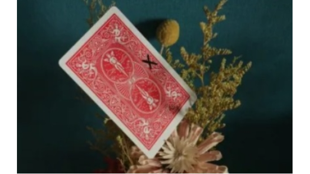 WZ – XX Writing Moving - Card Tricks