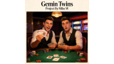 Gemin Twins Project By Miku W