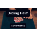 Boxing Palm by Keito K Boxing Palm by Keito K