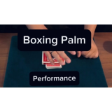 Boxing Palm by Keito K