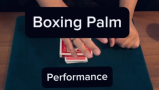 Boxing Palm by Keito K