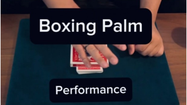 Boxing Palm by Keito K - 2026