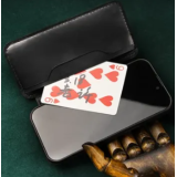 Daily Case by Joshua Kaufmann