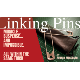 Linking Pins by Hernan Maccagno