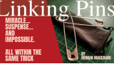 Linking Pins by Hernan Maccagno