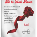 Silk to Real Flower by Juan Pablo Silk to Real Flower by Juan Pablo