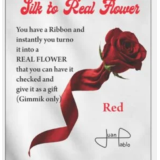 Silk to Real Flower by Juan Pablo Silk to Real Flower by Juan Pablo