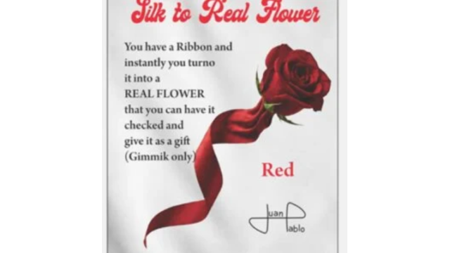 Silk to Real Flower by Juan Pablo - 2026 Silk to Real Flower by Juan Pablo - 2026