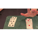 Lavender by Robin Deville