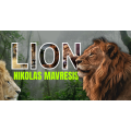 LION by Nikolas Mavresis