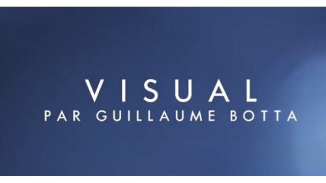 Visual de Guillaume Botta - Card Tricks
