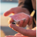 The FLY LITE by Marcos Waldemar & Invisible Compass The FLY LITE by Marcos Waldemar & Invisible Compass