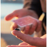 The FLY LITE by Marcos Waldemar & Invisible Compass The FLY LITE by Marcos Waldemar & Invisible Compass