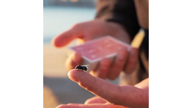 The FLY LITE by Marcos Waldemar & Invisible Compass - Card Tricks