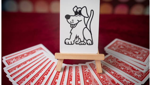 Magical Visions by Matthew Wright - 2026 Magical Visions by Matthew Wright - 2026