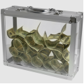 Glassy Briefcase by Tora Magic Glassy Briefcase by Tora Magic