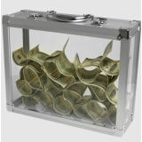 Glassy Briefcase by Tora Magic Glassy Briefcase by Tora Magic