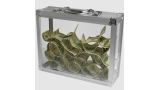 Glassy Briefcase by Tora Magic