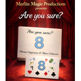 Are You Sure by Damien Vappereau and Marc Celiandre