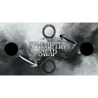 Symmetry Swap by Enoch Lambrecht