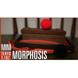 MINI MORPHOSIS ou LA MINI-MALLE DES INDES by Tenyo