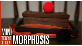 MINI MORPHOSIS ou LA MINI-MALLE DES INDES by Tenyo