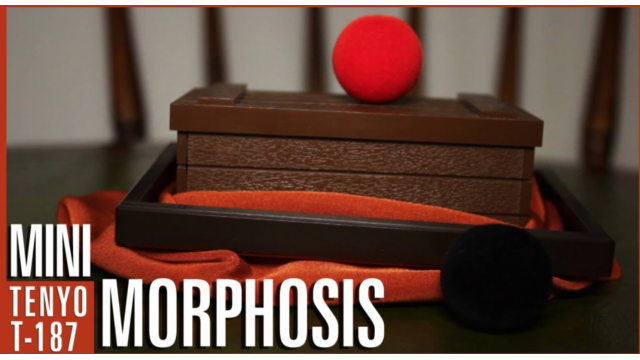 MINI MORPHOSIS ou LA MINI-MALLE DES INDES by Tenyo - 2026
