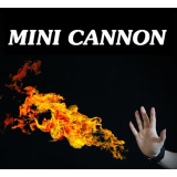 Mini Cannon (Remote Control)