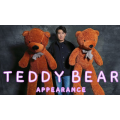 Teddy Bear Appearance (Large) by MS Magic Teddy Bear Appearance (Large) by MS Magic